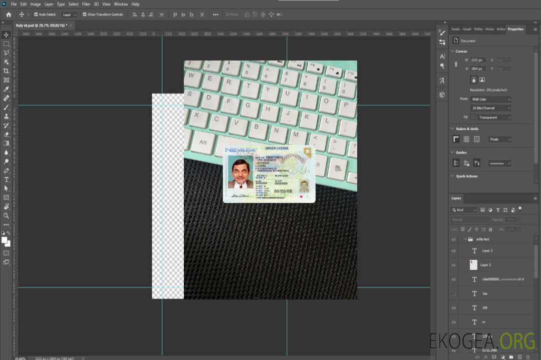 Permis de conduire USA Nevada 2021-présent photolook recto template